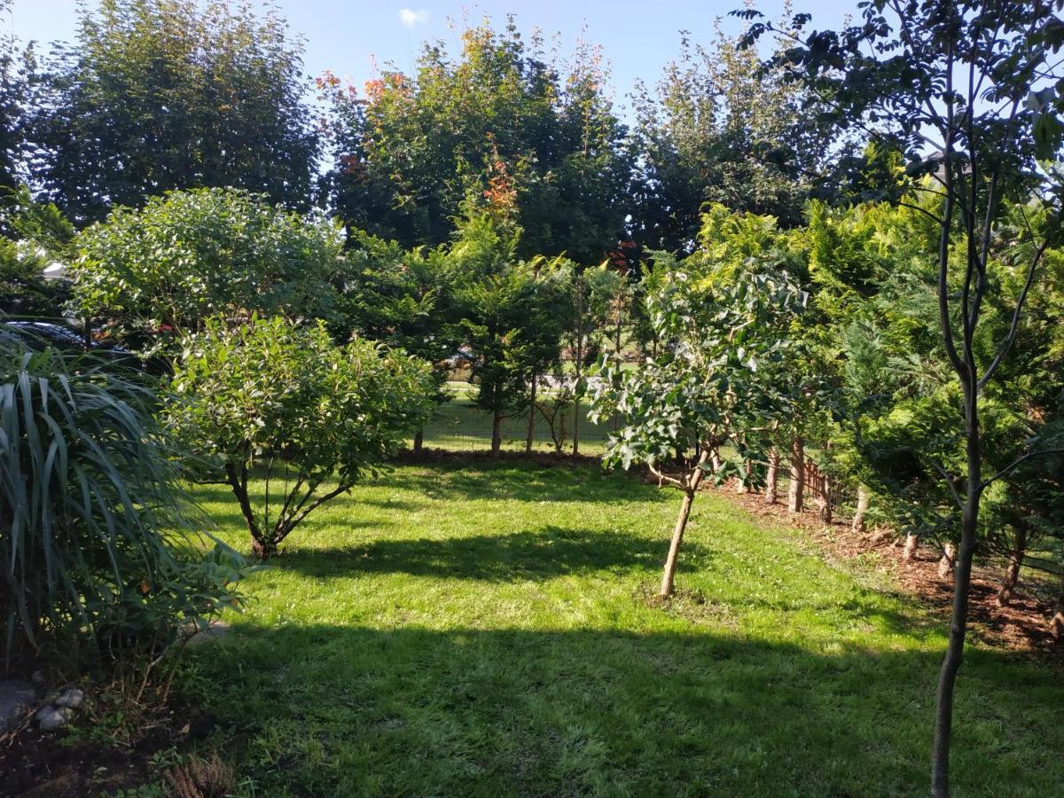 Ferienwohnung Przytulna Kawalerka Z Ogrodem Danzig Exterior foto